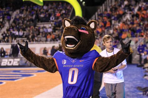 Boise state universitu mascot